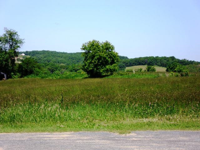 Lot 5 Interland Ave
