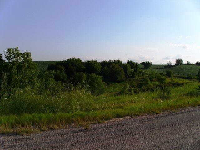 Lot 5 Interland Ave