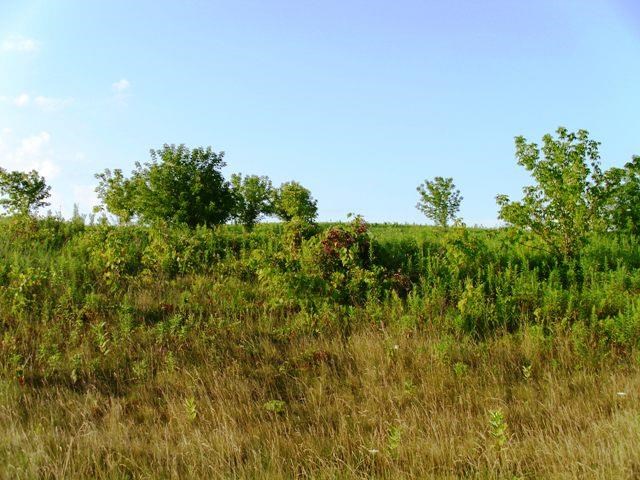 Lot 5 Interland Ave