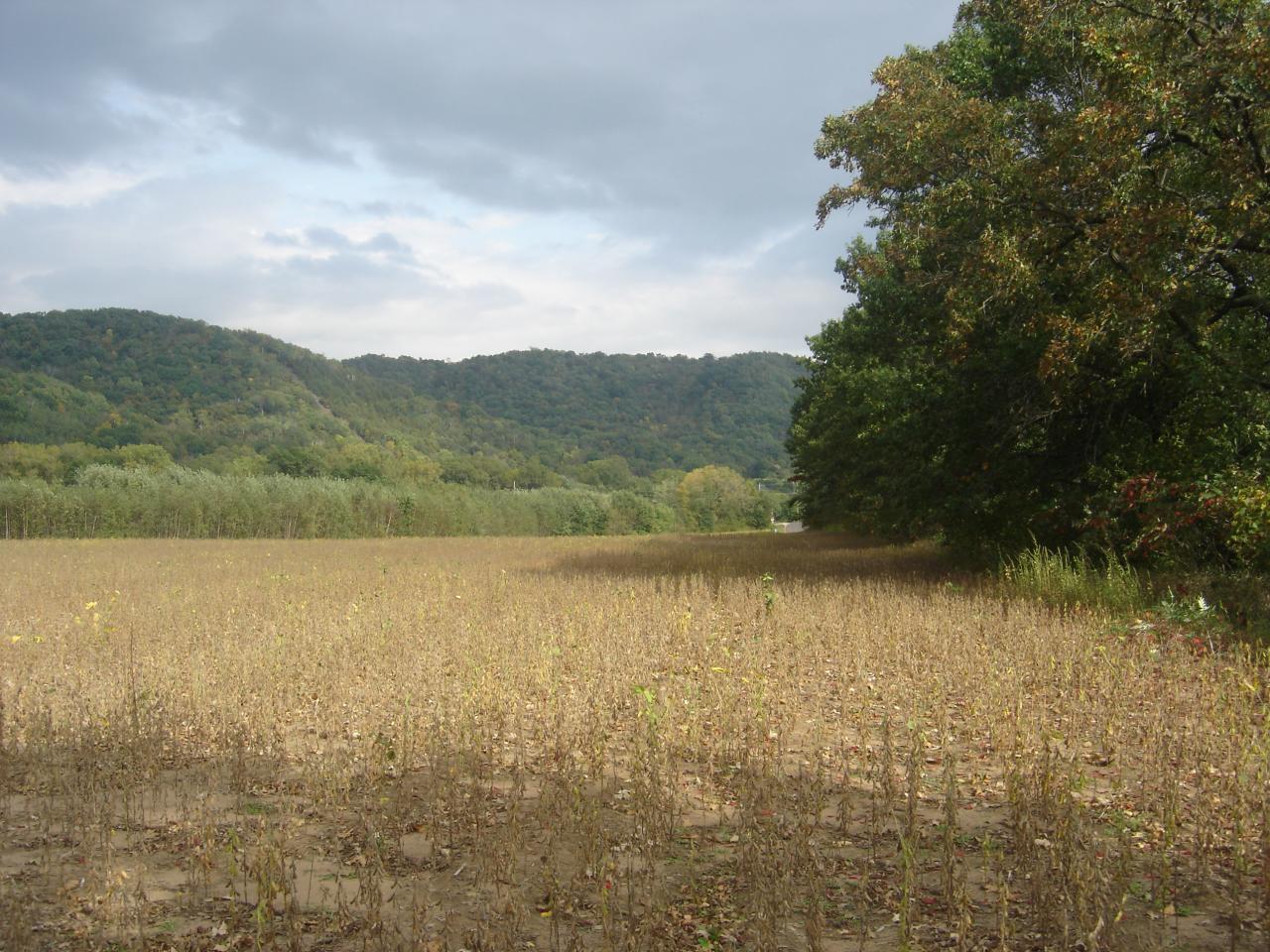 Lot 15 Trempealeau Mountain Estates