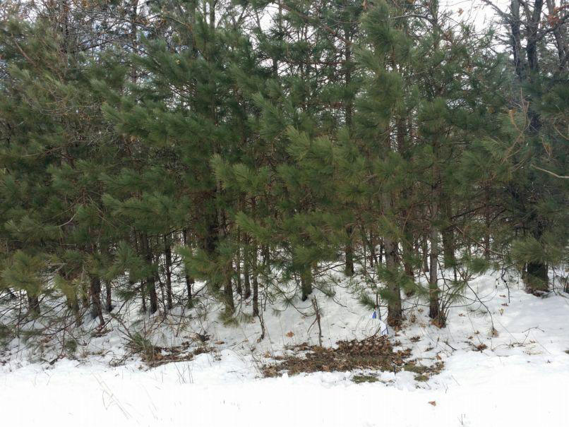 Lot 2 County Road K