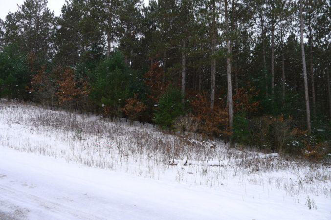 Lot 2 County Road K