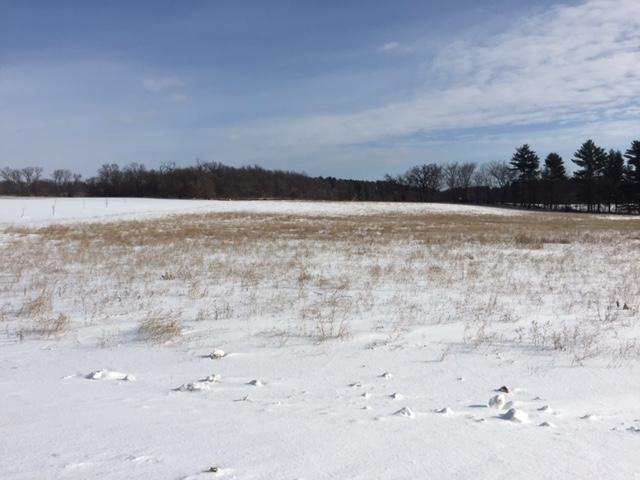 Lot 68 Wildrose Rd