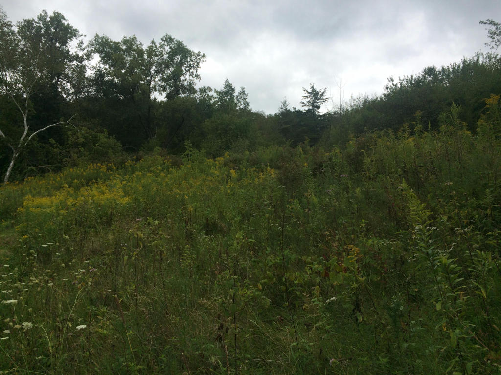 N13299 Schubert Rd