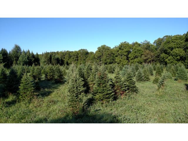 18.85 Acres County Road Jj