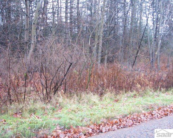 13100 State Highway 13
