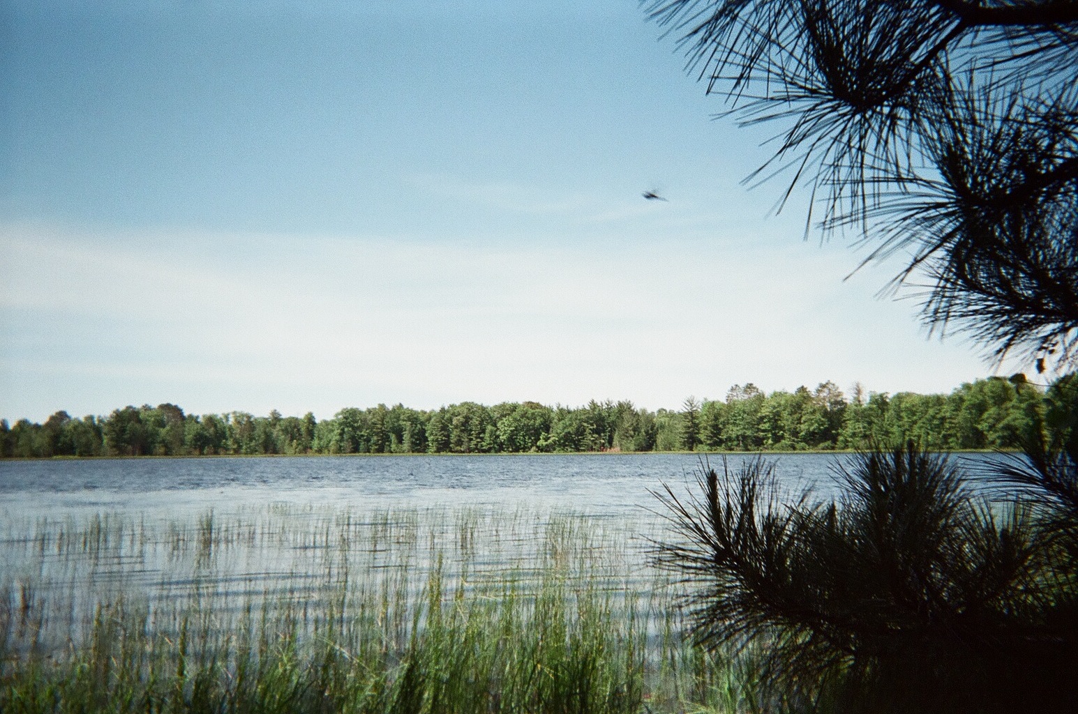 7505 Cleveland Rd, Lake Nebagamon, WI 54849