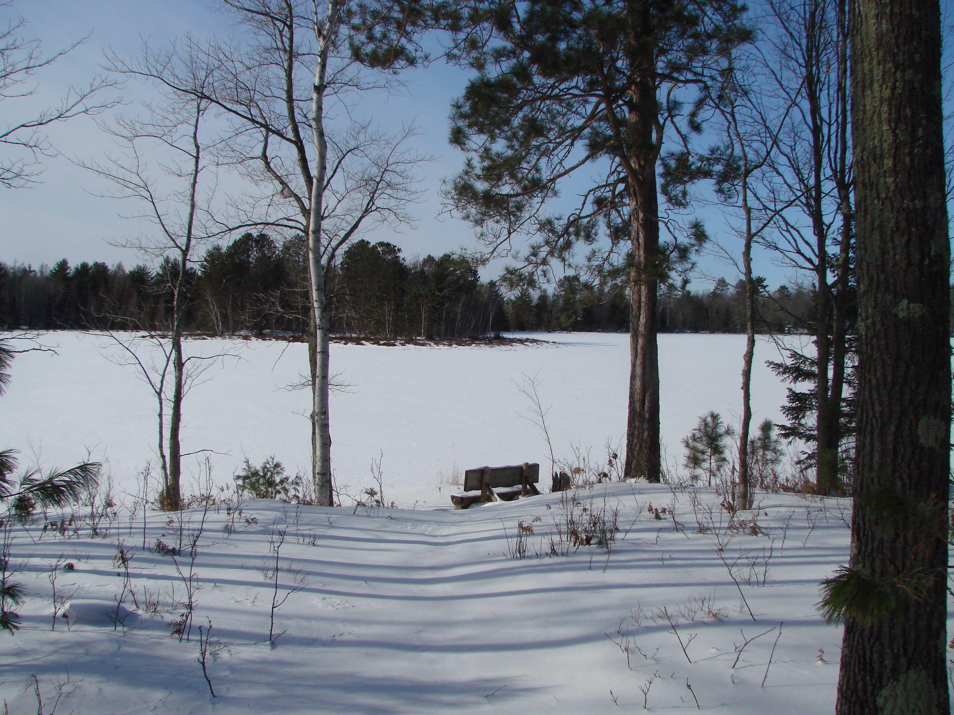 7505 Cleveland Rd, Lake Nebagamon, WI 54849