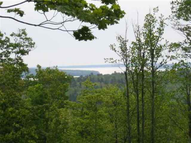 3887 Chippewa Tr