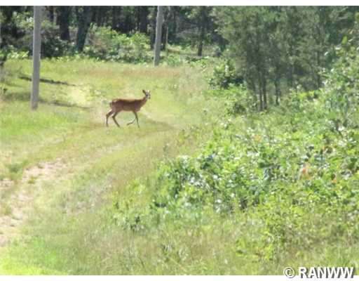 N13240 County Line Road, Minong, WI 54859