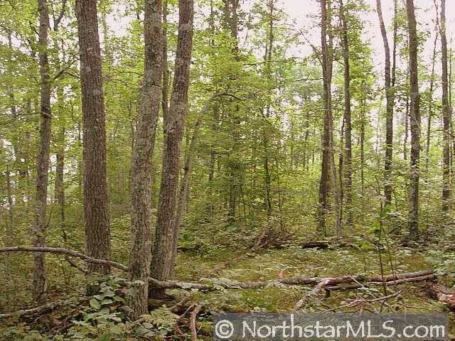 Lots Scout Trail