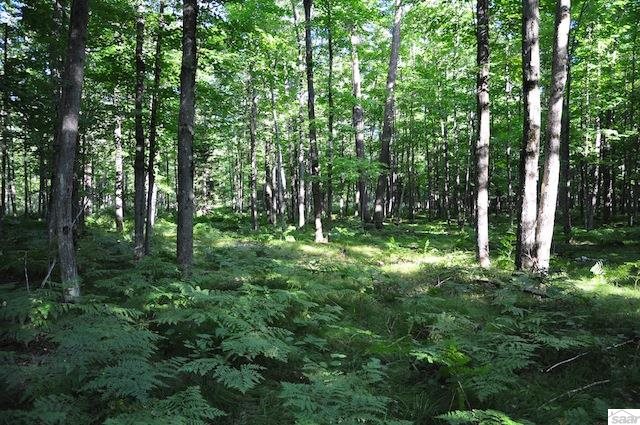 39 Acres County Hwy C