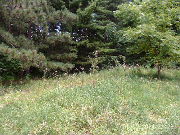 W10845 Evergreen St