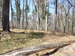 E1600 River Wood Dr