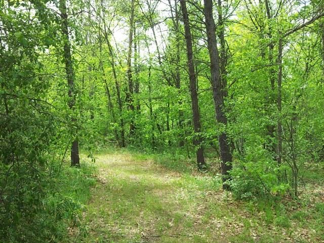 Lot 1 Beechnut Drive