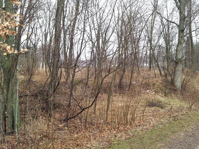 Lot 1 Beechnut Drive