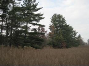 W5314 Badger Ln