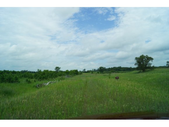 N4823 Peppler Ln