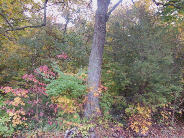 0 East River Mountain, Bluefield, WV 24701