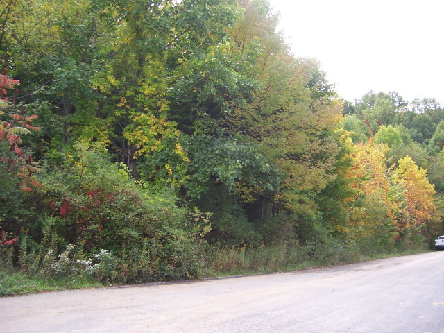 417 Woodside Dr