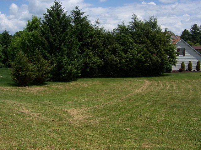 417 Woodside Dr