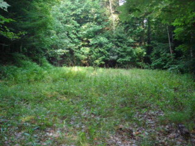 220 Oakdell Ave