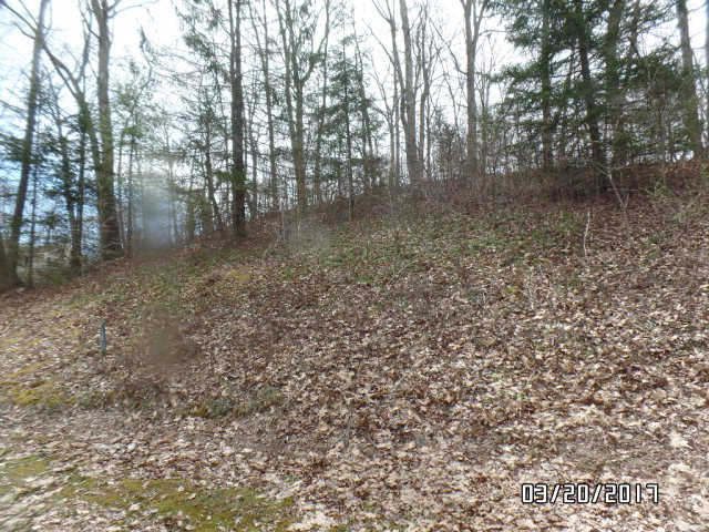 215 Union Dr, Princeton, WV 24740