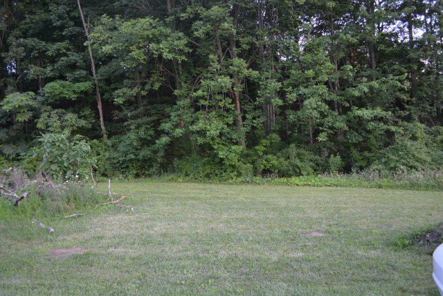 146 Willowbrook Road