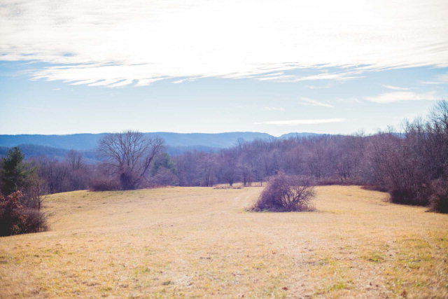 415 Hill Hollow Road