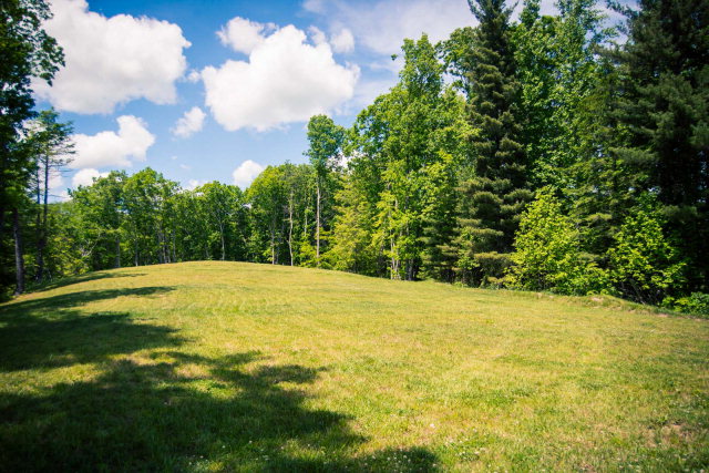 415 Hill Hollow Road