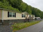 906 RAYSAL HOLLOW RD ,WV, Raysal, 24879