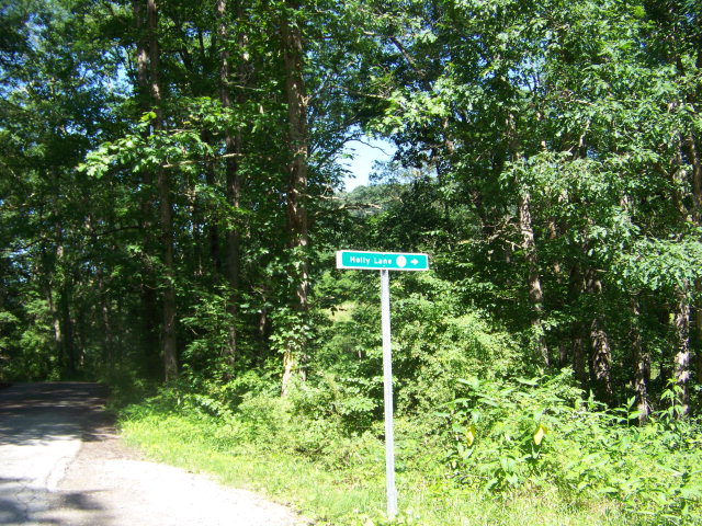3164 Appalachian Highway