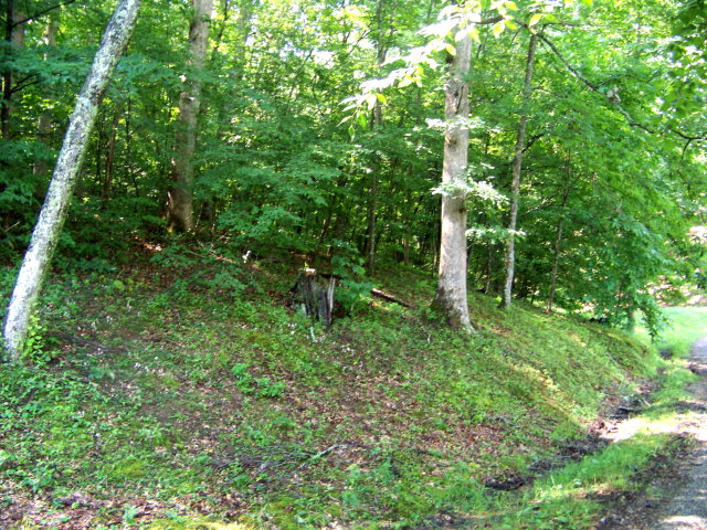 3164 Appalachian Highway