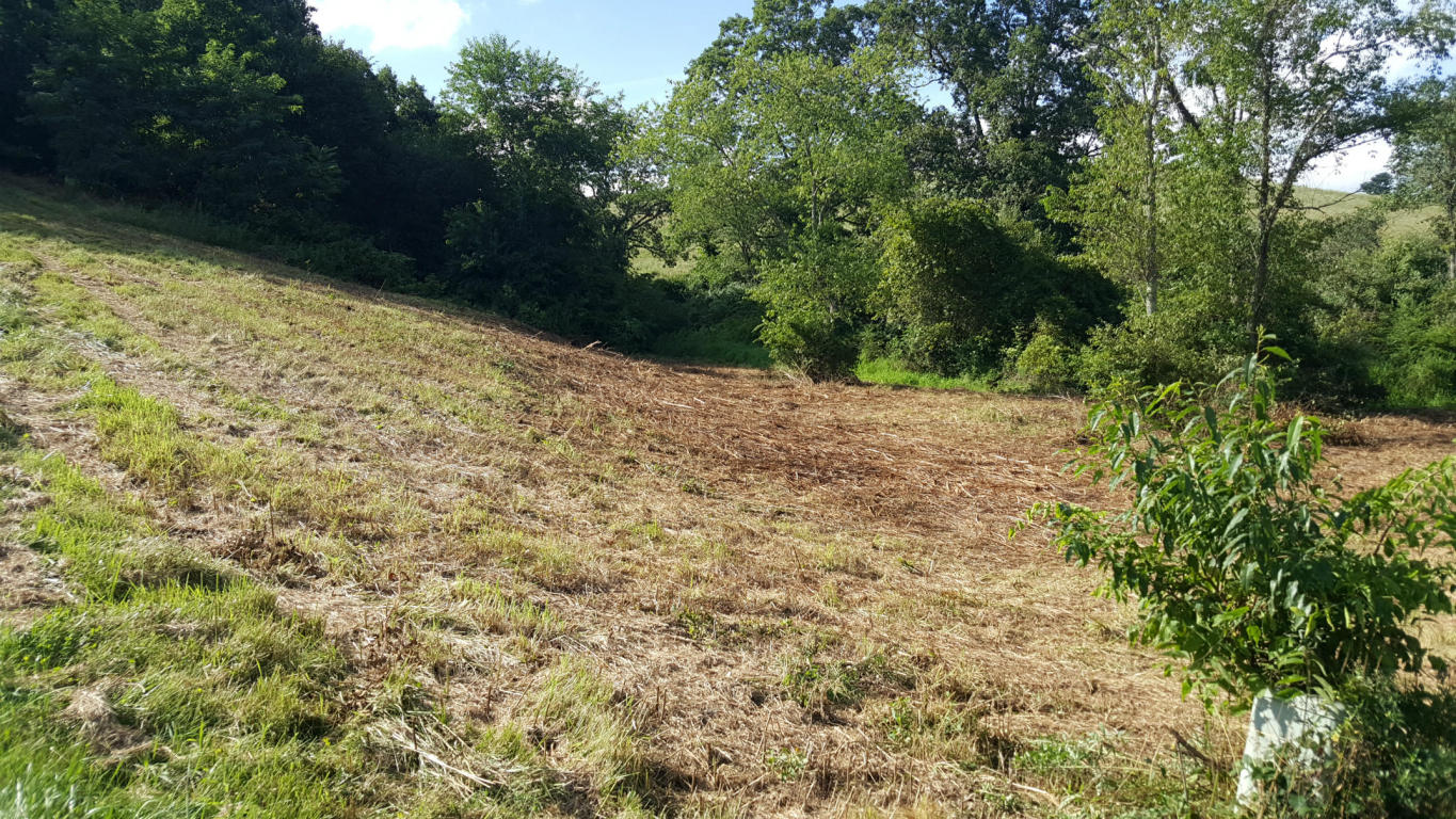 LOT 28 LAMPLIGHTER VALLEY, Lewisburg, WV 24901