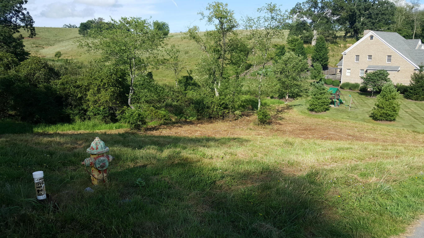 LOT 28 LAMPLIGHTER VALLEY, Lewisburg, WV 24901