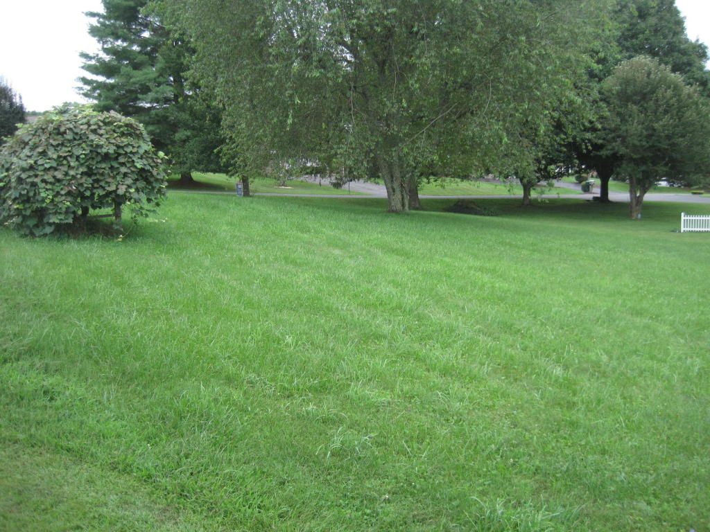 CLOVERFIELD LANE, Lewisburg, WV 24901