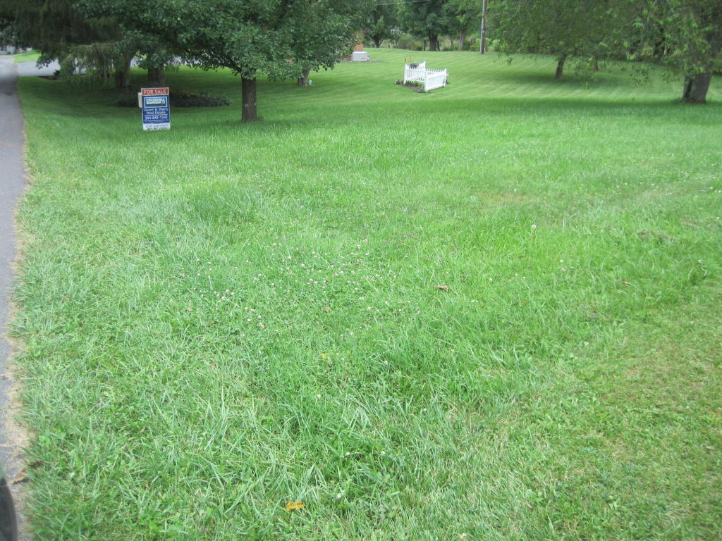 CLOVERFIELD LANE, Lewisburg, WV 24901