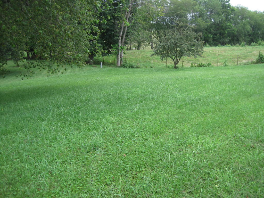 CLOVERFIELD LANE, Lewisburg, WV 24901