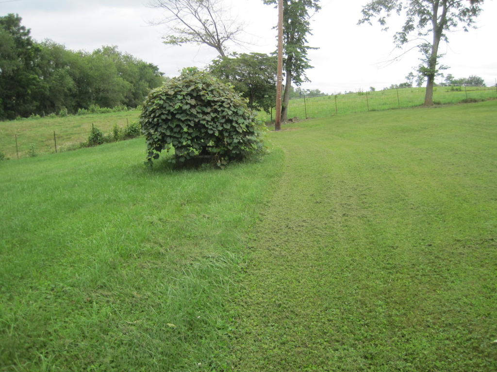 CLOVERFIELD LANE, Lewisburg, WV 24901
