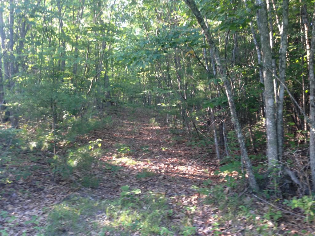 FOUR OAKS LANE, Lewisburg, WV 24901