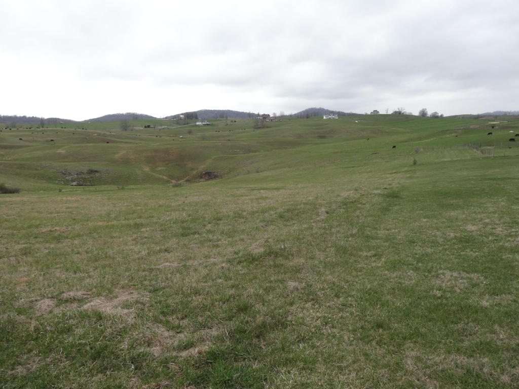MAYAPPLE TRAIL, Lewisburg, WV 24901
