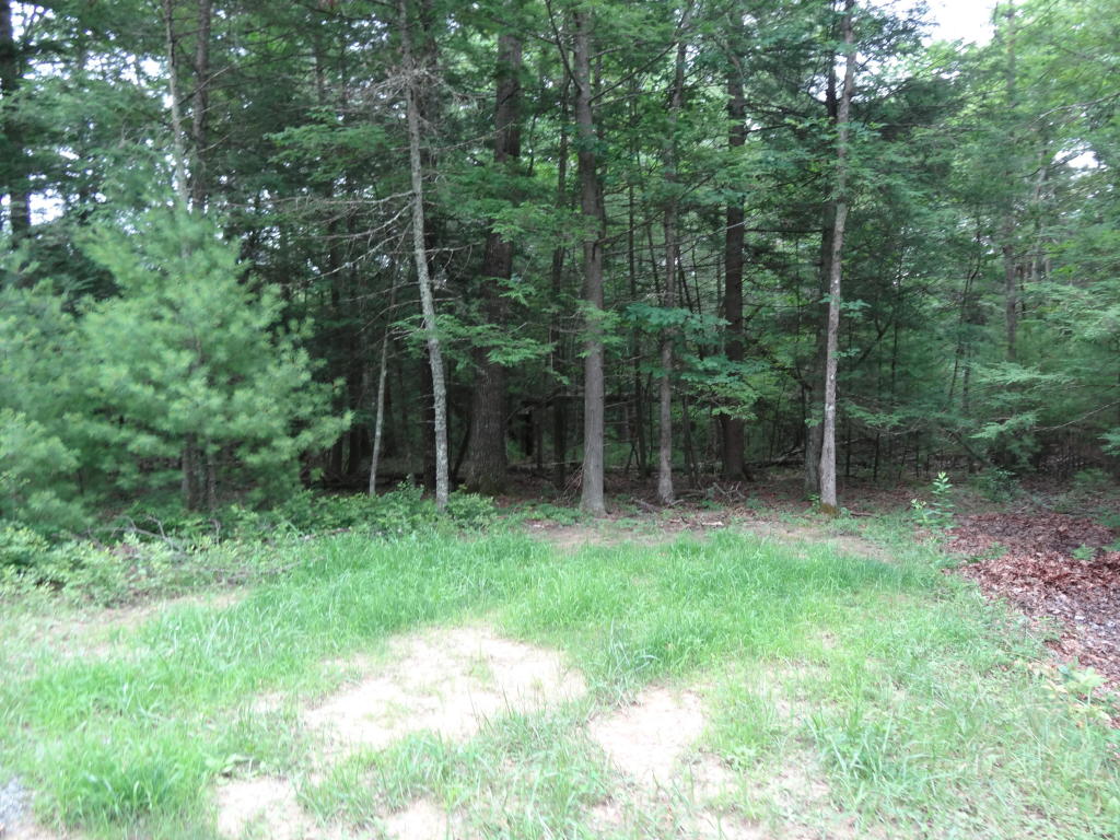 LOT 24 ASBURY TRACE, Lewisburg, WV 24901
