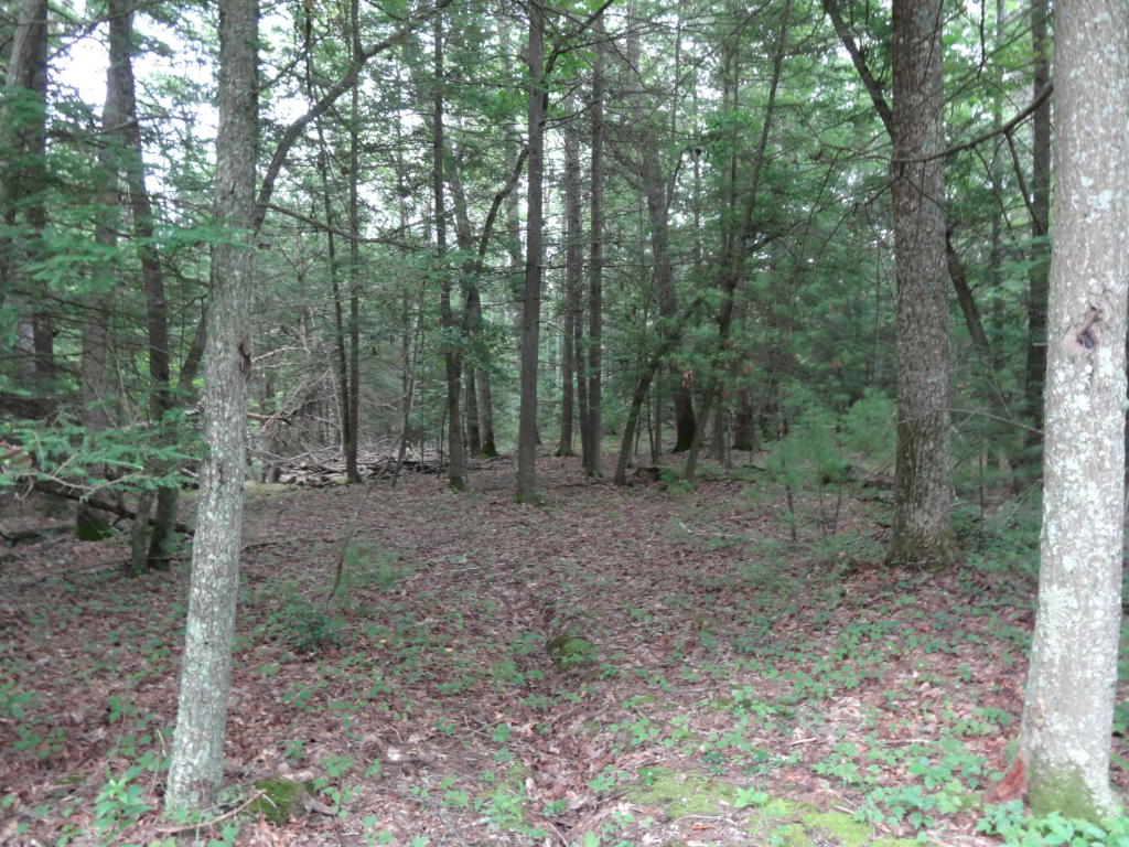 LOT 24 ASBURY TRACE, Lewisburg, WV 24901