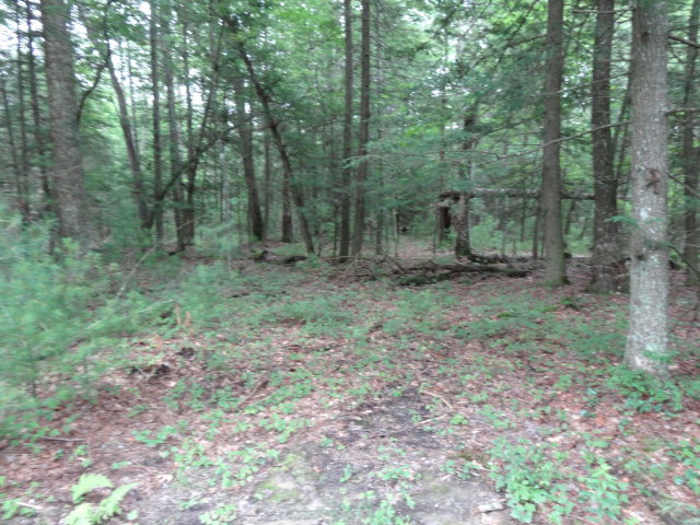 - ASBURY TRACE, Lewisburg, WV 24901