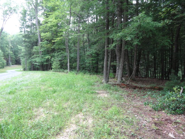 - ASBURY TRACE, Lewisburg, WV 24901