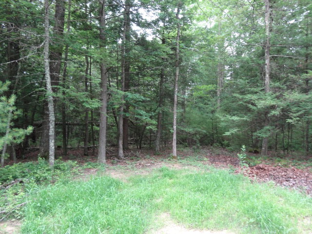 - ASBURY TRACE, Lewisburg, WV 24901