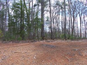 Lot 26 Woodhaven Subdivision, Lewisburg, WV 24901