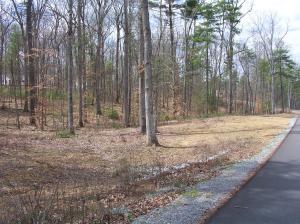 Lot 26 Woodhaven Subdivision, Lewisburg, WV 24901