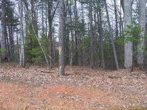 Lot 26 Woodhaven Subdivision, Lewisburg, WV 24901