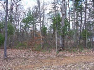 Lot 21 Woodhaven Subdivision, Lewisburg, WV 24901